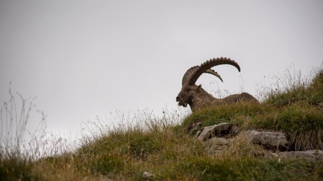 Autour de la combe de Sales