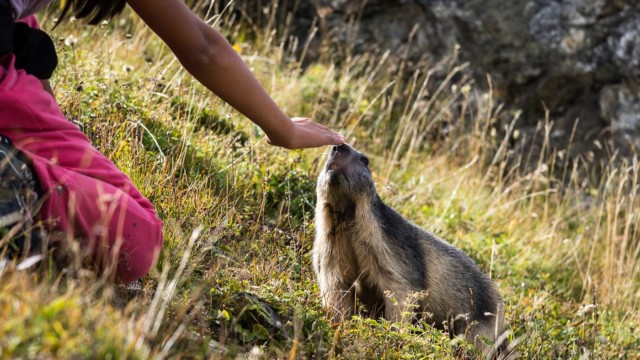 Autour de la combe de Sales